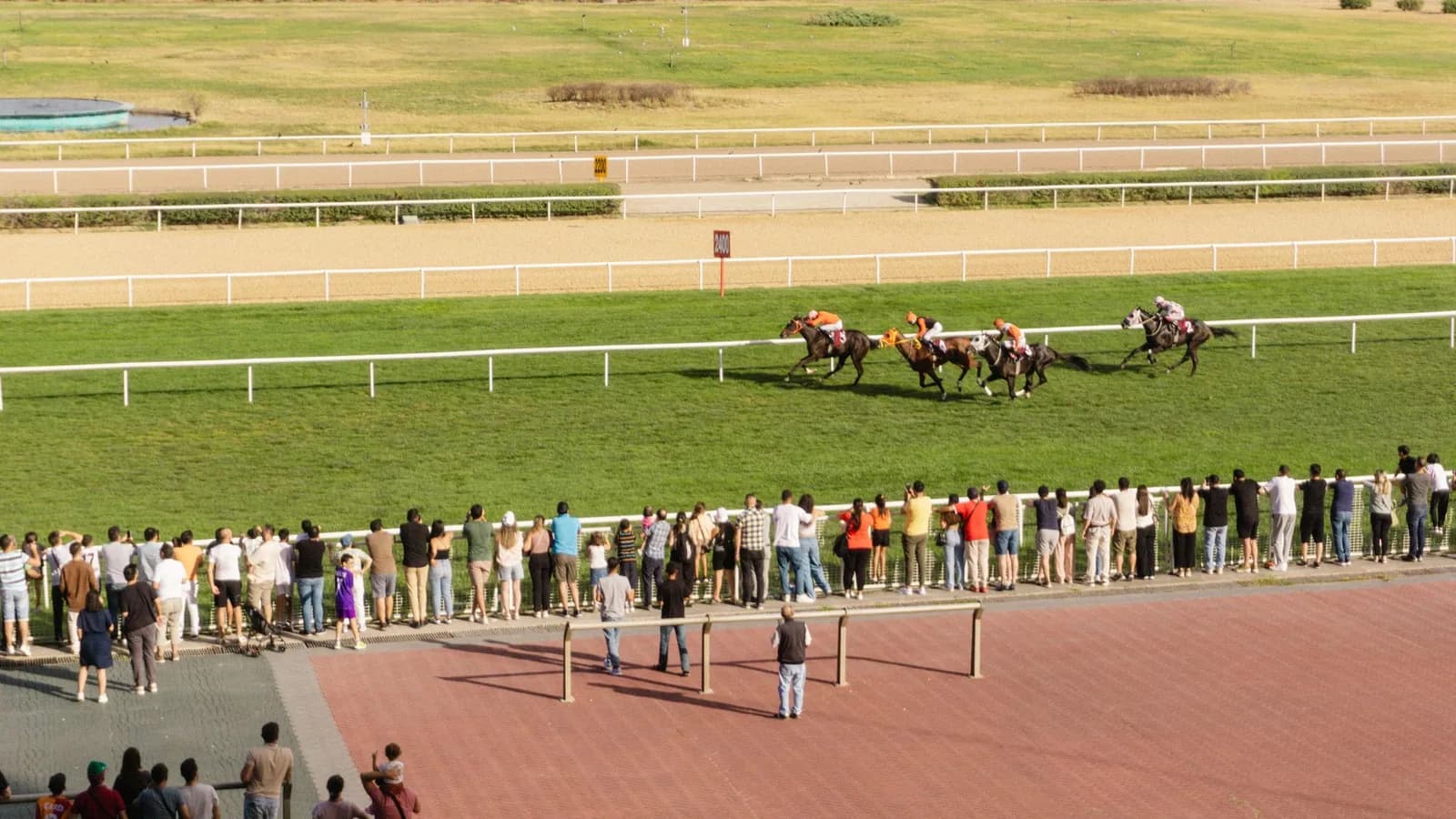 Spectators watching horses racing along a turf track.