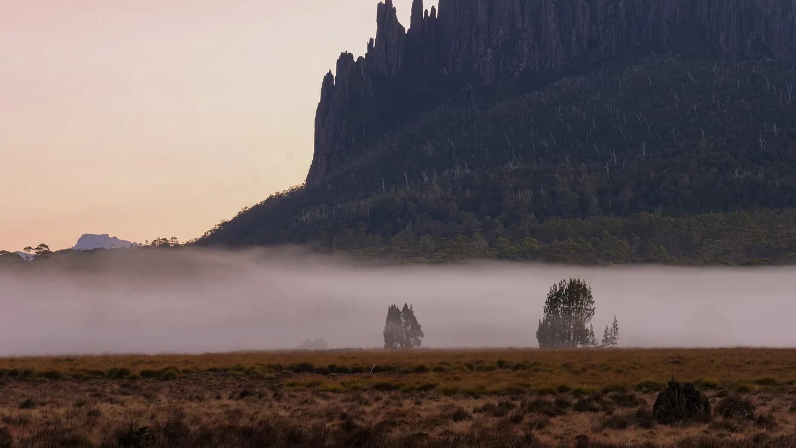 Misty mountains and green wilderness in Tasmania.