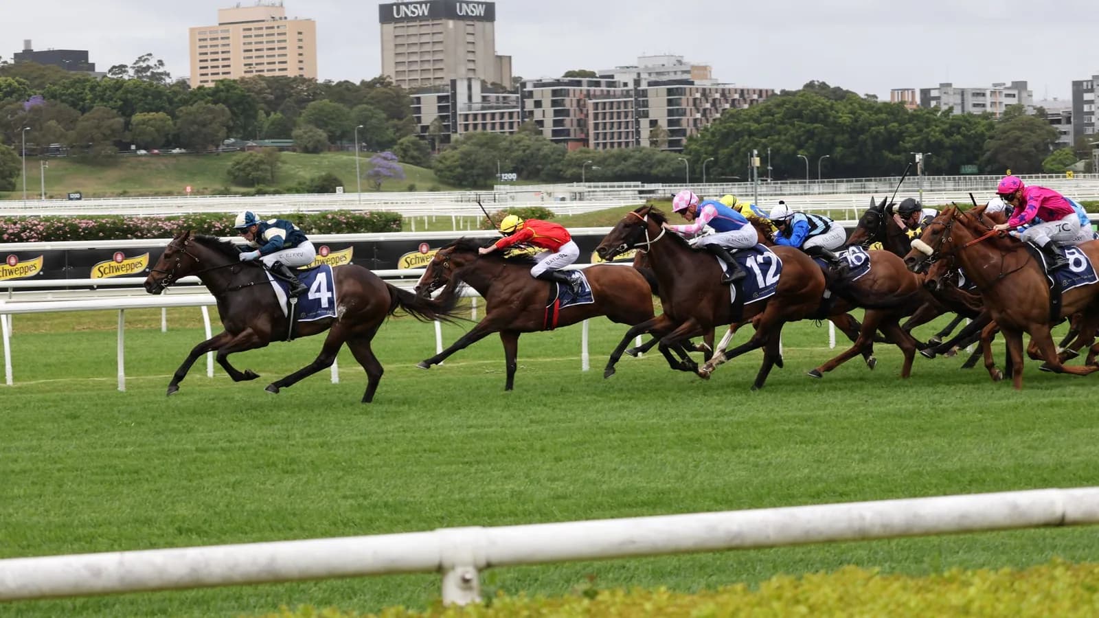 Racehorses and jockeys running along a green racecourse.