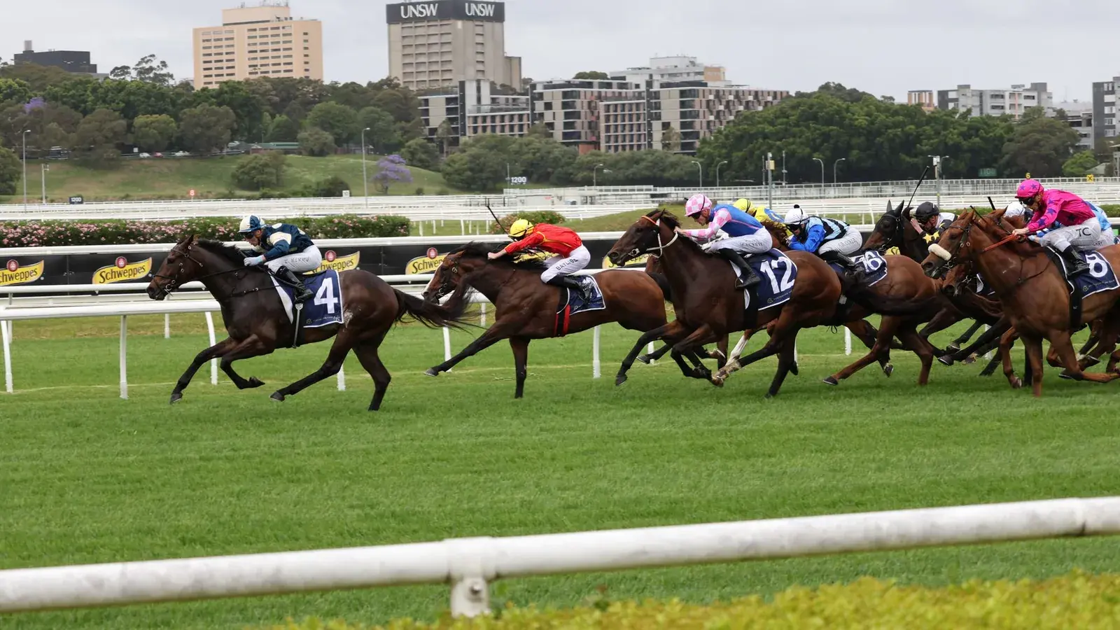 Racehorses and jockeys running along a green racecourse.